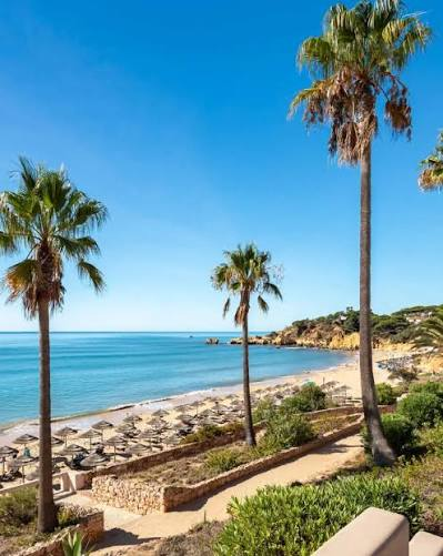 Palm trees over Santa Eulália beach