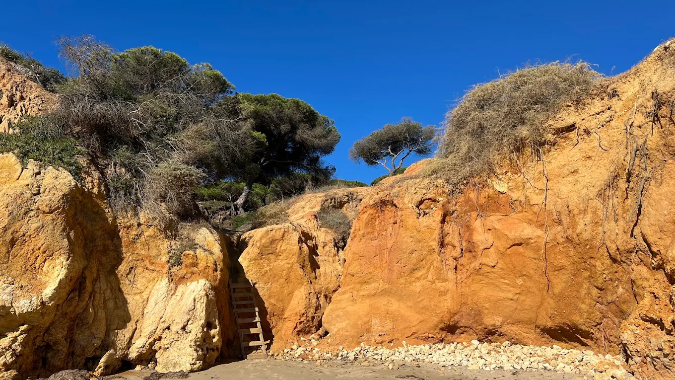 Golden Algarve cliffs under a bright blue sky