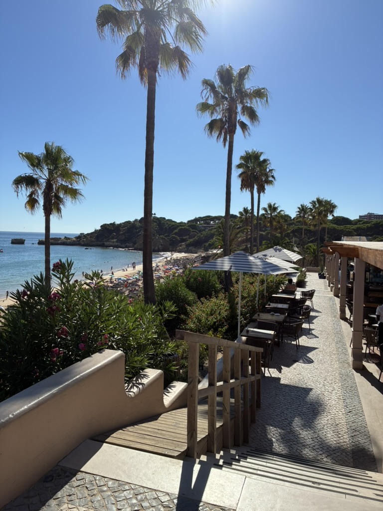 Santa Eulália beach seen from the resort terrace with palm trees and blue sea